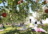 津軽美人プロジェクトのプレスリリース