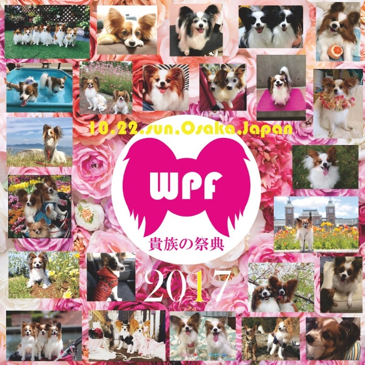 100パピモフモフ パピヨンのパピヨンによるパピヨンのためだけの大型オフ会イベント Worldpapillonfestival17 貴族の祭典 開催 人と犬 愛犬笑顔の日普及事務局studio Hitotoinuのプレスリリース