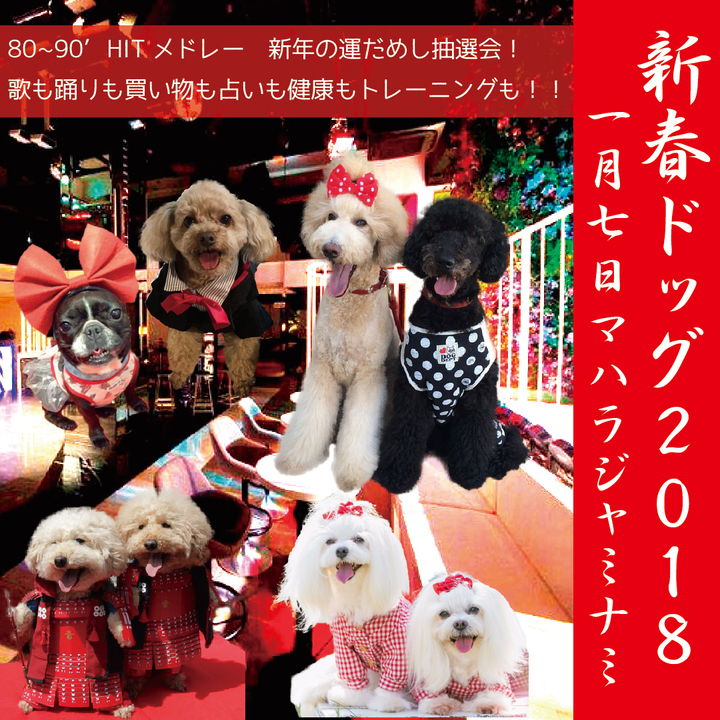 人と犬・愛犬笑顔の日普及事務局のプレスリリース画像1