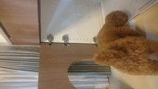 株式会社GIコンサルティングパートナーズのプレスリリース画像4