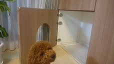 株式会社GIコンサルティングパートナーズのプレスリリース画像3