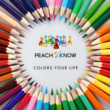 株式会社GIコンサルティングパートナーズのプレスリリース画像2