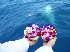 株式会社GIコンサルティングパートナーズのプレスリリース画像5