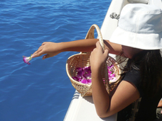 株式会社GIコンサルティングパートナーズのプレスリリース画像6