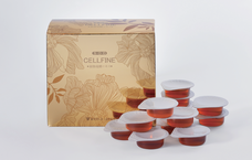 株式会社GIコンサルティングパートナーズのプレスリリース画像4