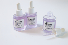 株式会社GIコンサルティングパートナーズのプレスリリース画像2