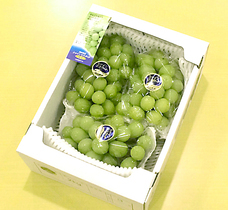 株式会社GIコンサルティングパートナーズのプレスリリース画像1