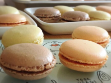 株式会社GIコンサルティングパートナーズのプレスリリース画像2