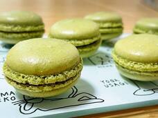 株式会社GIコンサルティングパートナーズのプレスリリース画像2