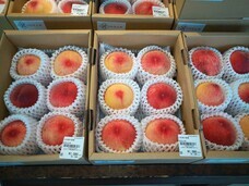 株式会社GIコンサルティングパートナーズのプレスリリース画像1