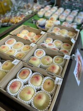 株式会社GIコンサルティングパートナーズのプレスリリース画像3