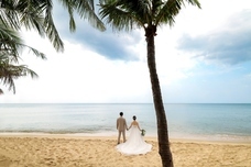 株式会社GIコンサルティングパートナーズのプレスリリース画像7