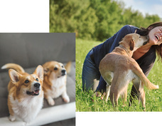 株式会社GIコンサルティングパートナーズのプレスリリース画像9