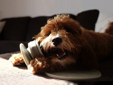 株式会社GIコンサルティングパートナーズのプレスリリース画像6