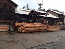 株式会社GIコンサルティングパートナーズのプレスリリース画像3