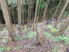 株式会社GIコンサルティングパートナーズのプレスリリース画像5