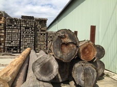 株式会社GIコンサルティングパートナーズのプレスリリース画像4