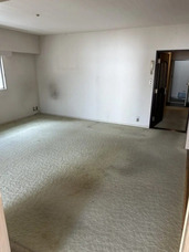 株式会社GIコンサルティングパートナーズのプレスリリース画像3