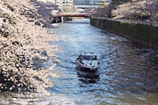 株式会社スパイスサーブのプレスリリース画像5