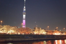 株式会社スパイスサーブのプレスリリース画像4