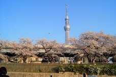 株式会社スパイスサーブのプレスリリース画像6