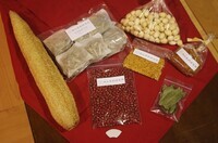 池山衣料研究所のプレスリリース画像1