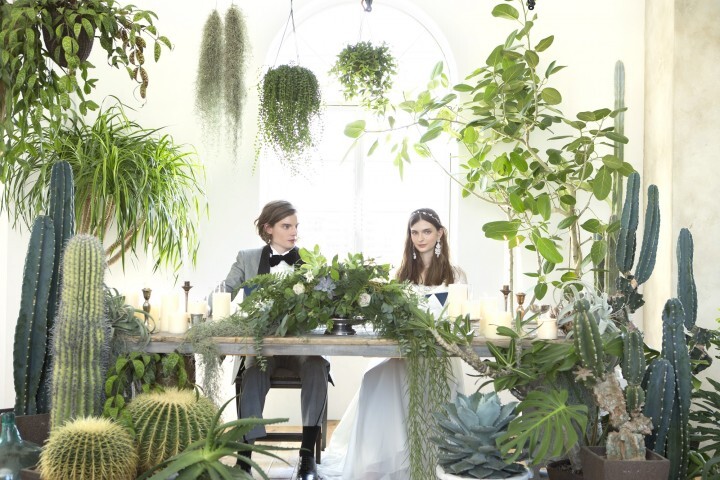 ディライト株式会社のプレスリリース画像5