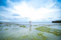 ミレニアムファルコン合同会社のプレスリリース画像4