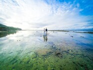 ミレニアムファルコン合同会社のプレスリリース画像5