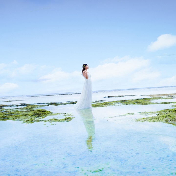 ミレニアムファルコン合同会社のプレスリリース画像9