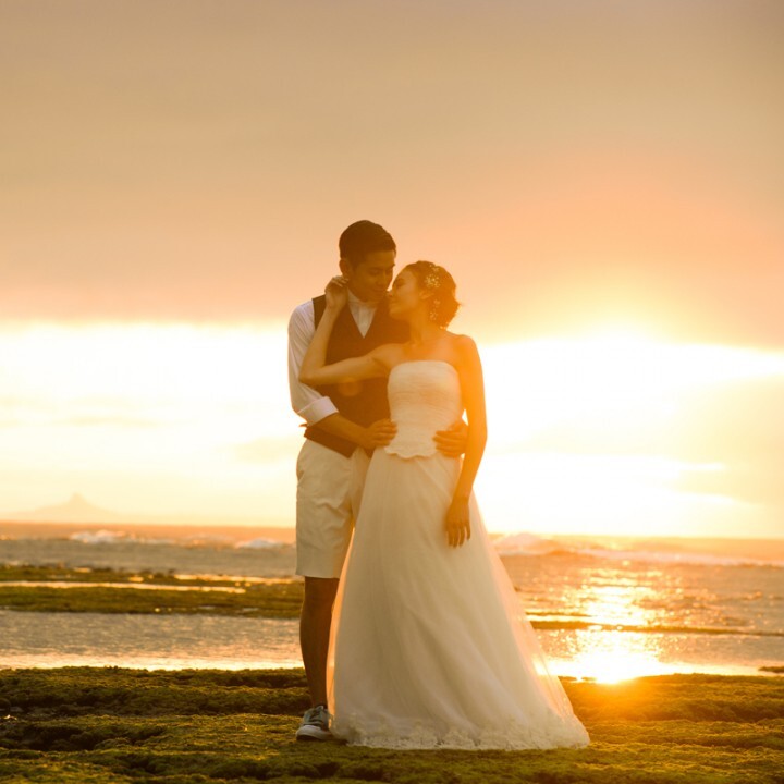 ミレニアムファルコン合同会社のプレスリリース画像2