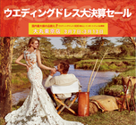 ミレニアムファルコン合同会社のプレスリリース画像1