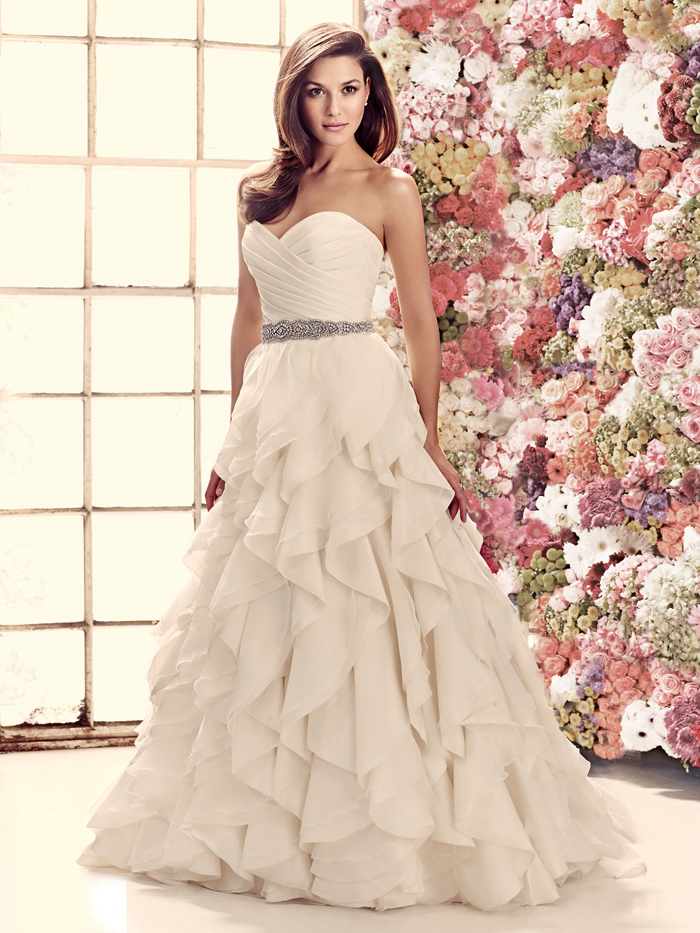 ミレニアムファルコン合同会社のプレスリリース画像3