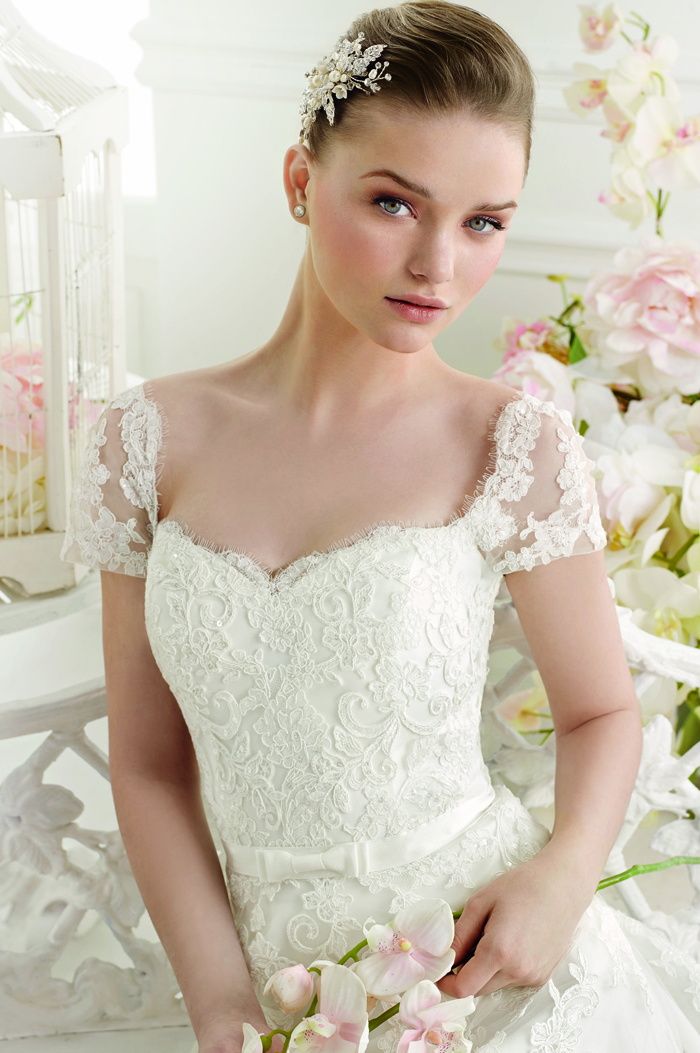 ミレニアムファルコン合同会社のプレスリリース画像6