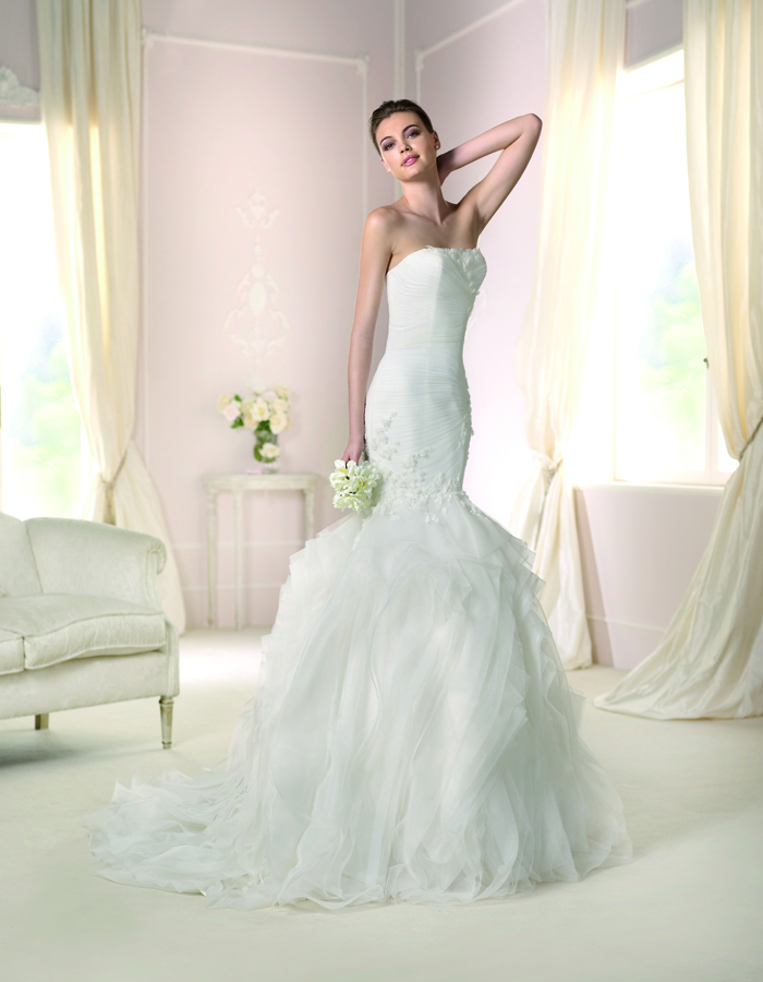 ミレニアムファルコン合同会社のプレスリリース画像9