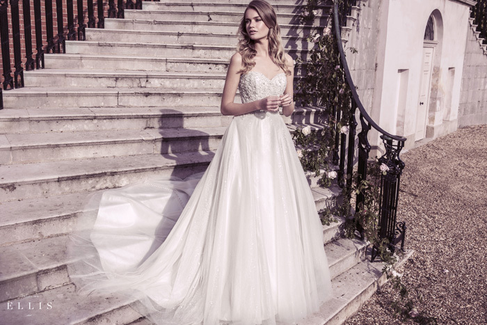 ミレニアムファルコン合同会社のプレスリリース画像7