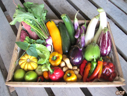 株式会社DRCのプレスリリース画像3