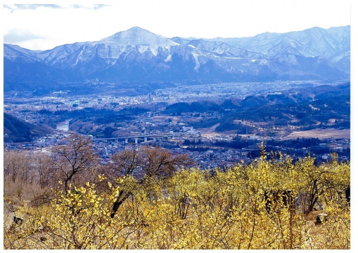 一般社団法人長瀞町観光協会のプレスリリース画像1