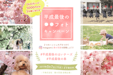 千株式会社のプレスリリース12