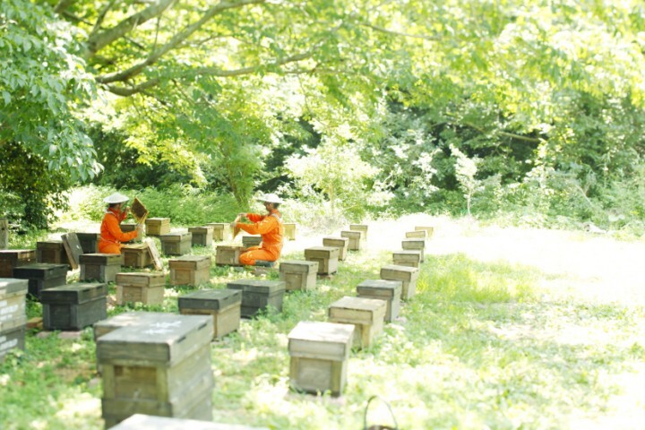 株式会社長坂養蜂場のプレスリリース画像4
