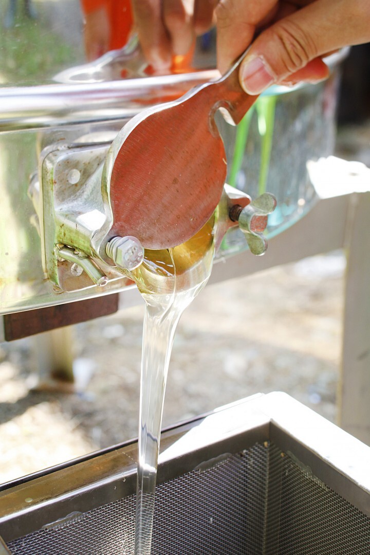 株式会社長坂養蜂場のプレスリリース画像10