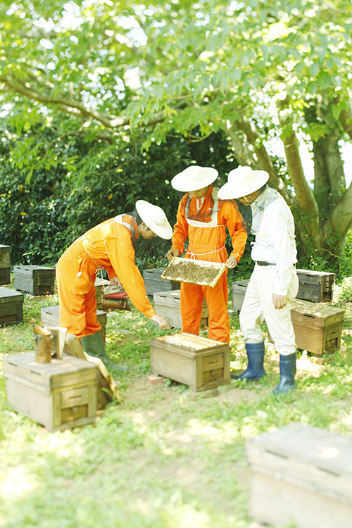 株式会社長坂養蜂場のプレスリリース画像8