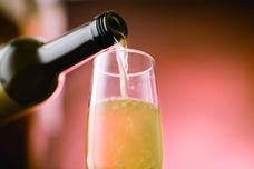 株式会社長坂養蜂場のプレスリリース画像6