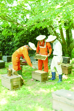 株式会社長坂養蜂場のプレスリリース画像5