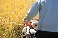 宮内舎のプレスリリース画像3