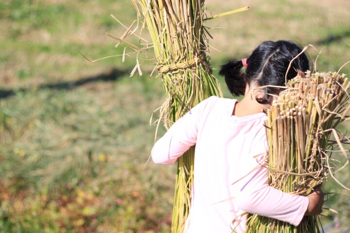 宮内舎のプレスリリース画像7