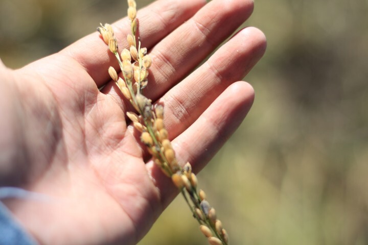 宮内舎のプレスリリース画像2