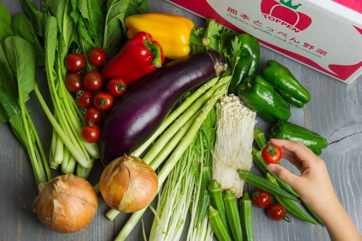 熊本大同青果株式会社のプレスリリース画像4