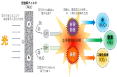 新光商事株式会社のプレスリリース画像9