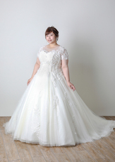 有限会社キクヅルのプレスリリース画像3